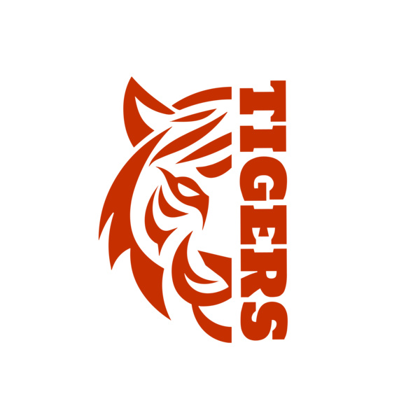 School Tigers 03 Thumbnail